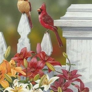 Meet your Posher, Georgianna